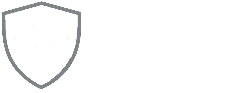 Wise Brand Protection LLP Logo